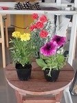 060514 014.jpg