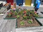 060514 054.jpg