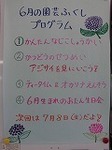 060610ko 020.jpg