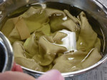 sCIMG0480.jpg