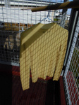 sCIMG0491.jpg