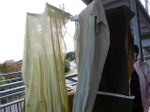 sCIMG0495.jpg