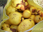 sCIMG0518.jpg