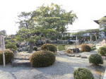 sCIMG1024.jpg
