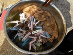 sCIMG1889.jpg