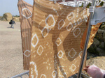 sCIMG1900.jpg