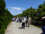 sCIMG3220.jpg